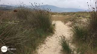 Weg durch das Naturschutzgebiet Lagoa de Baldaio