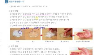 [초등과학 4-2 무료강의] 2. 물의 상태 변화 ① 물의 세 가지 상태를 알아볼까요?