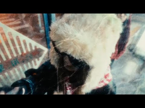 Losty - 台北傷心IDOL ft.Drogas (Dir.RICH THE LONER) #Dusty*