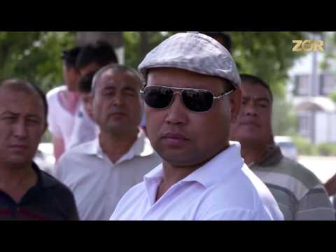 Real Xit 16-soni - Media Park Turargohi