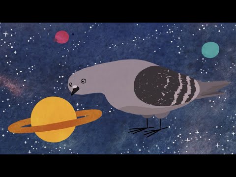 33 FILMFEST DRESDEN 2021: Official Trailer