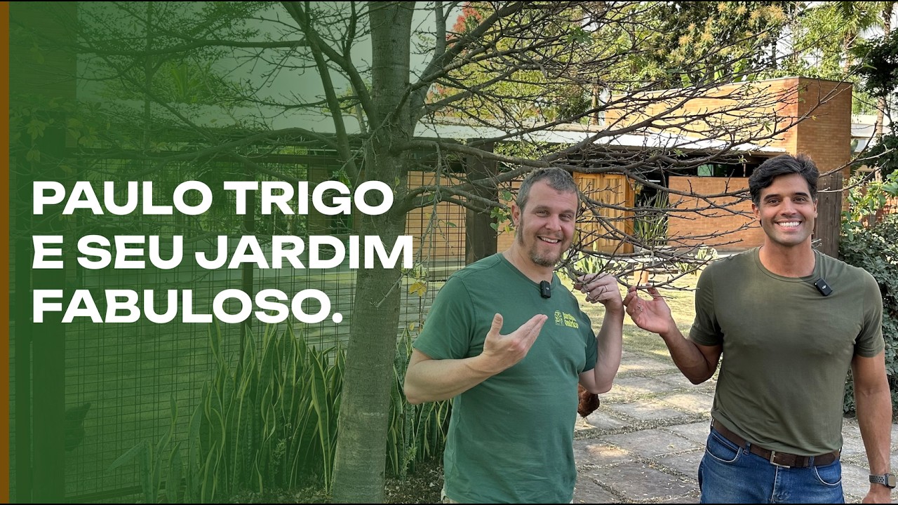 Paulo Trigo’s Plants: The Beautiful Garden of a Passionate Architect.