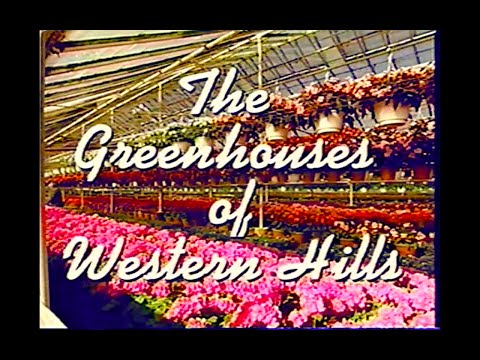 Under Glass: The Greenhouses of Western Hills