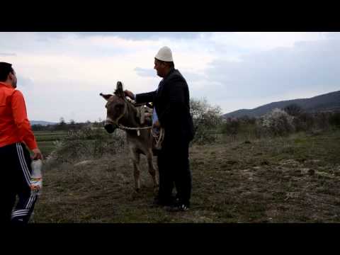 PISHPIRIKAT   Taksisti 2014