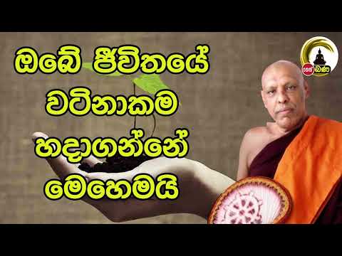 Ketawala Hemaloka himi මෙත් නෙත් පාමුල​ 2023 05 14