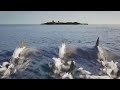 Deep Blue Sea 3 (2020) | Trailer | Legendary Clips