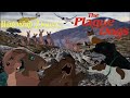 Watership Down - The Plague Dogs : A Tribute to Two Animated Classics