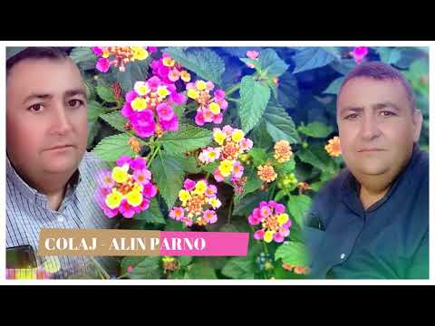 ALIN PARNO - COLAJ CANTARI DE BUCURIE