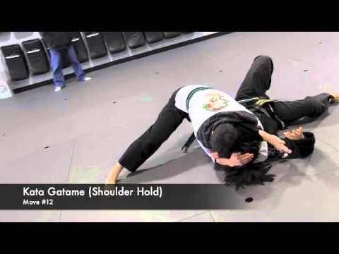 Kyuki Do Pinning Form with Transitions