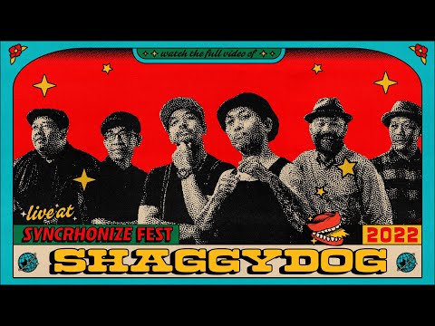 Shaggy Dog LIVE @ Synchronize Fest 2022