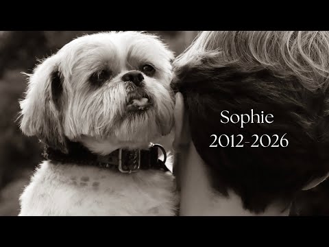 Saying Goodbye To Sophie | Nicolas Fairford