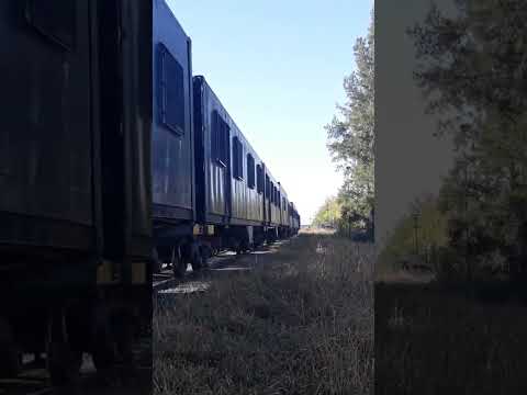 🇦🇷👷🏻‍♂️Tren Sanitarlo Rumbo A Salta el mismo Prestara atencion medica en Campo Quijano 📆24/8🤠🎬