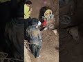 Maro Seth Bado Dayalu Hai Mereshyam Harekasharababashyamhmara Merabansiwalashyam Comedy