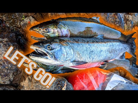 Salmon Slam!  New River BOBBER DOWN ACTION! (Sketchy area!)