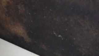 AIRBNB AWFUL APARTMENT