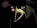 Triangle Pose Trikonasana Trikonasana YogaBenefits FlexibilityGoals Muscleandmotion