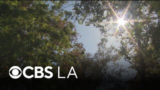Triple-digit temperatures hit Southern California during latest heat wave