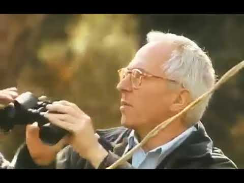 John Williams:  A Documentary