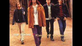 The Posies - Going Going Gone