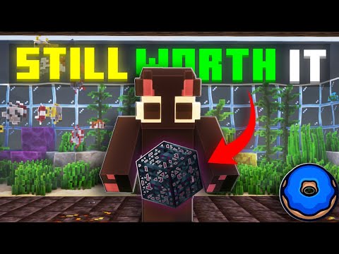 Are SKELETON SPAWNERS Still Worth It on Donut SMP?