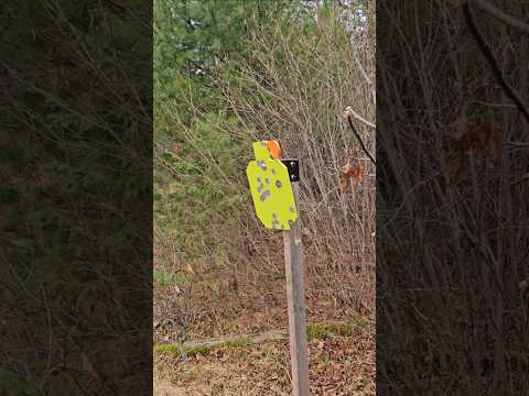 Affordable AR500 Highwild steel target w/ stand