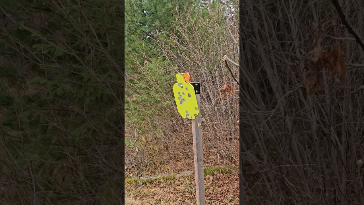 Affordable AR500 Highwild steel target w/ stand