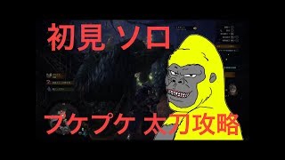 【MHWI】新米ハンターゴリラ狩猟解禁！-part1- 太刀　ソロ　初見【モンスターハンターワールドアイスボーン】【ゴリラ実況】