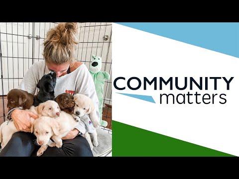 Community Matters: Dog Fostering - Full Episode