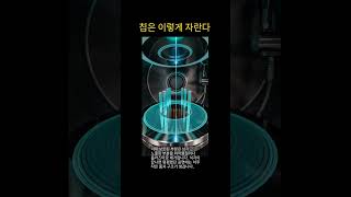 유튜브 썸네일