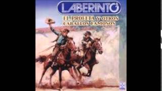 EL BAYO Y LA LOBA GRUPO LABERINTO CLUB DE FANS - OFICIAL