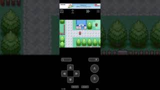 How to go to second gym in pokemon fire red  / leaf green version