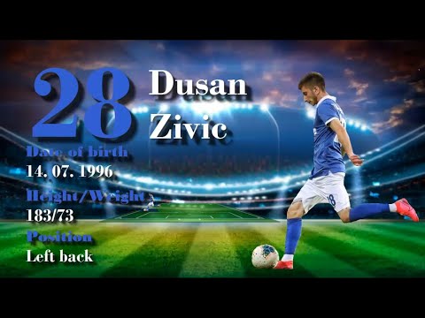 Dusan Zivic ● Left back ● Highlights 2020/21