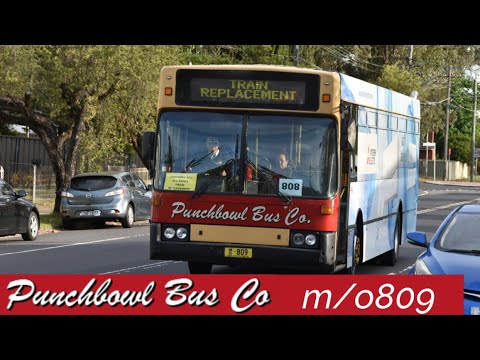 Punchbowl Bus Co. #m/o809 on T3 Bankstown Line Replacement/8T3
