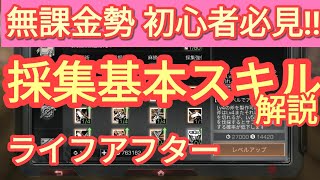 【ライフアフター実況プレイ】無課金勢 初心者必見！スキルポイントは採集スキルに使うべき！？デイリークエストを効率的に攻略しよう！