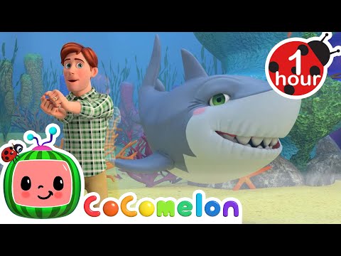 Baby Shark | @CoComelon | Moonbug Kids - Nursery Rhymes for Babies