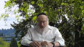 שדה בשמיטה