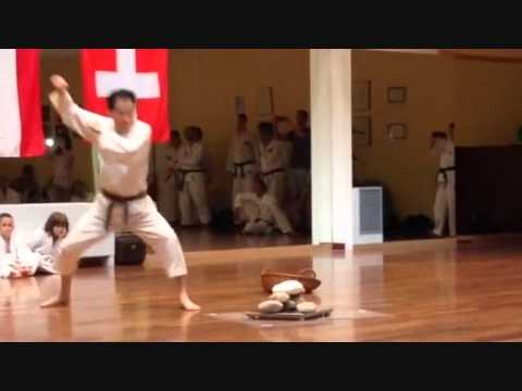 Rottura di pietra del Grande Maestro Son Jong Ho