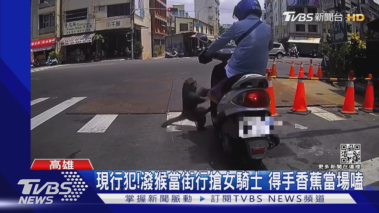 搶劫現行犯!潑猴行搶女騎士 得手2香蕉當街嗑