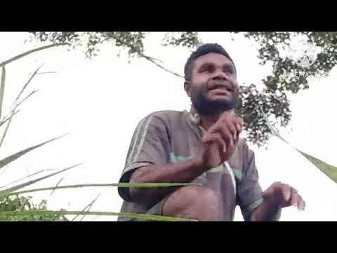 Poro Lewa (Shirley) Juxx Mahn