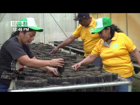 ¿Qué hacer en Matagalpa esta Semana Santa? Visita la Cooperativa Danilo González