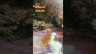 Download lagu dhyo haw dibalik hari ini #shorts #storywa #foryou #story #fyp mp3 Download lagu dhyo haw dibalik hari ini #shorts #storywa #foryou #story #fyp mp3