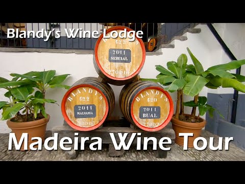 Blandy's Wine Lodge - Madeira Wine Tour