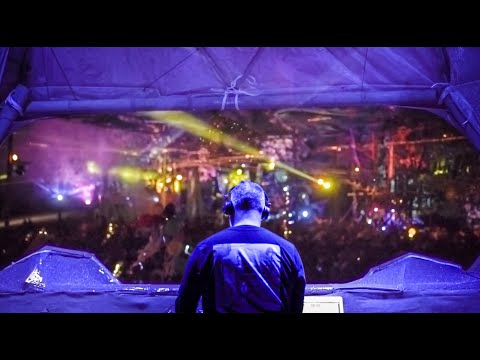 Sensient 🎶 | Rabbits Eat Lettuce 2021 🥬🐇