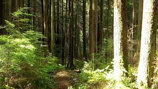Valley of the Sasquatch has a couple peekers