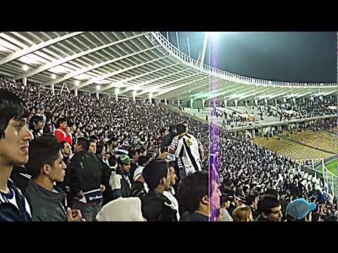 Hinchada + Gol del empate y delirio (Mundo Albiazul)