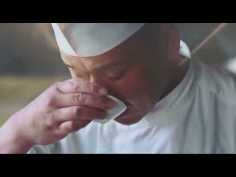 日本航空 新降機ビデオ 明日の翼