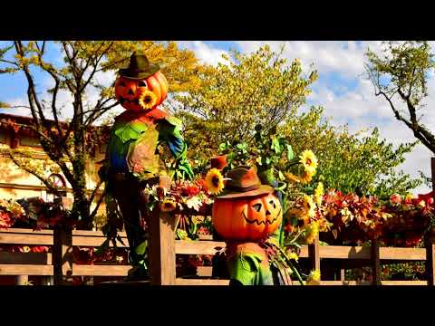 Disneyland Paris | Frontierland Thunder Mesa (Halloween) | Area Music Loop