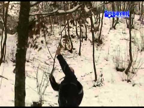 GRIL BERS - DISKOVERI