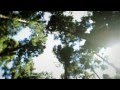 "Pour des Prunes" -  Audrey Dardenne clip officiel