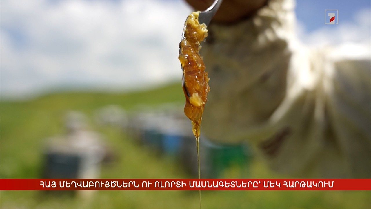 Հայ մեղվաբույծներն ու ոլորտի մասնագետները՝ մեկ հարթակում